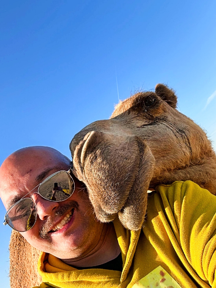 Kuwait Half Day City & Desert Licensed Tour Guide Pickup&Dropoff - Image - 1628
